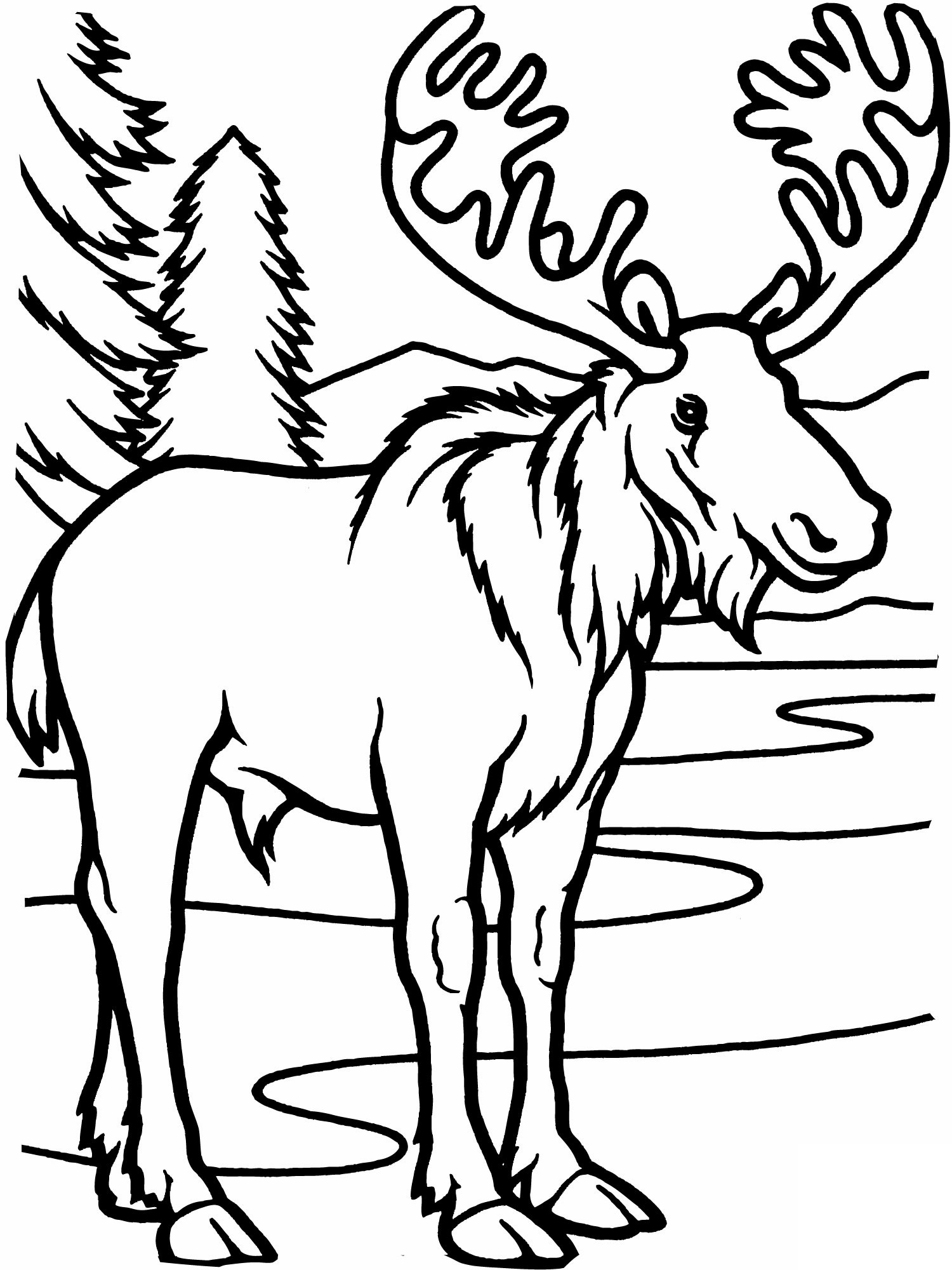 Free Coloring Sheet 12