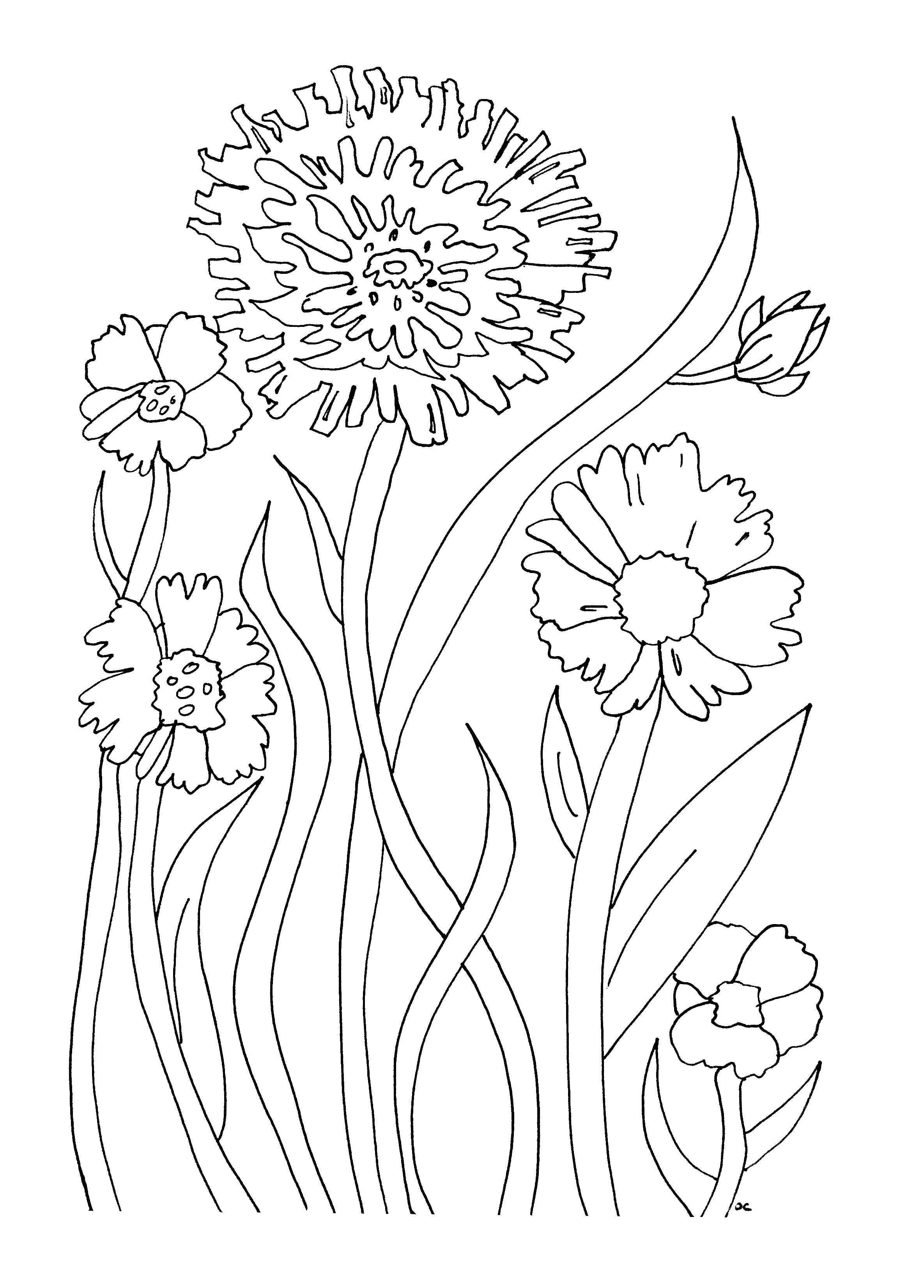 Kids Printable Coloring Pages 65