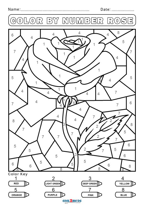 45 Color By Number Coloring Sheets 4