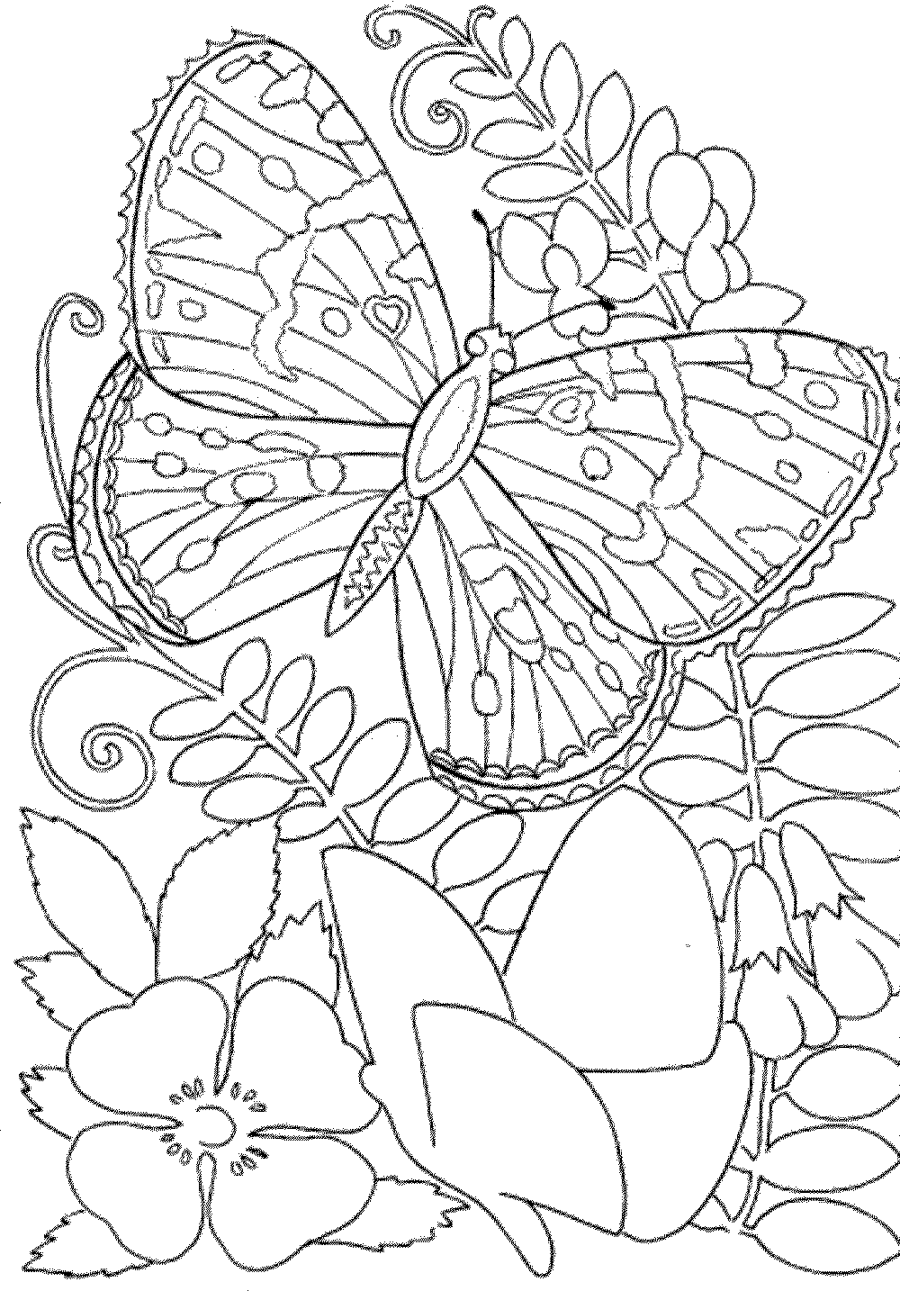 50 Printable Coloring Sheets 4
