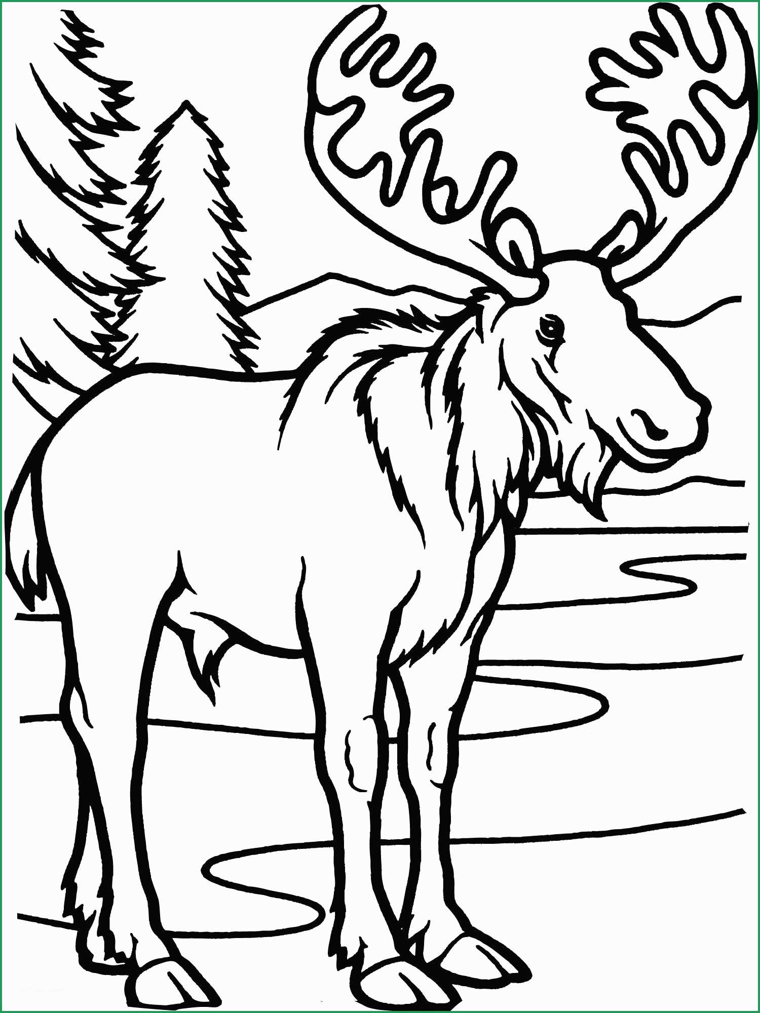 50 Free Printable Coloring Page 32