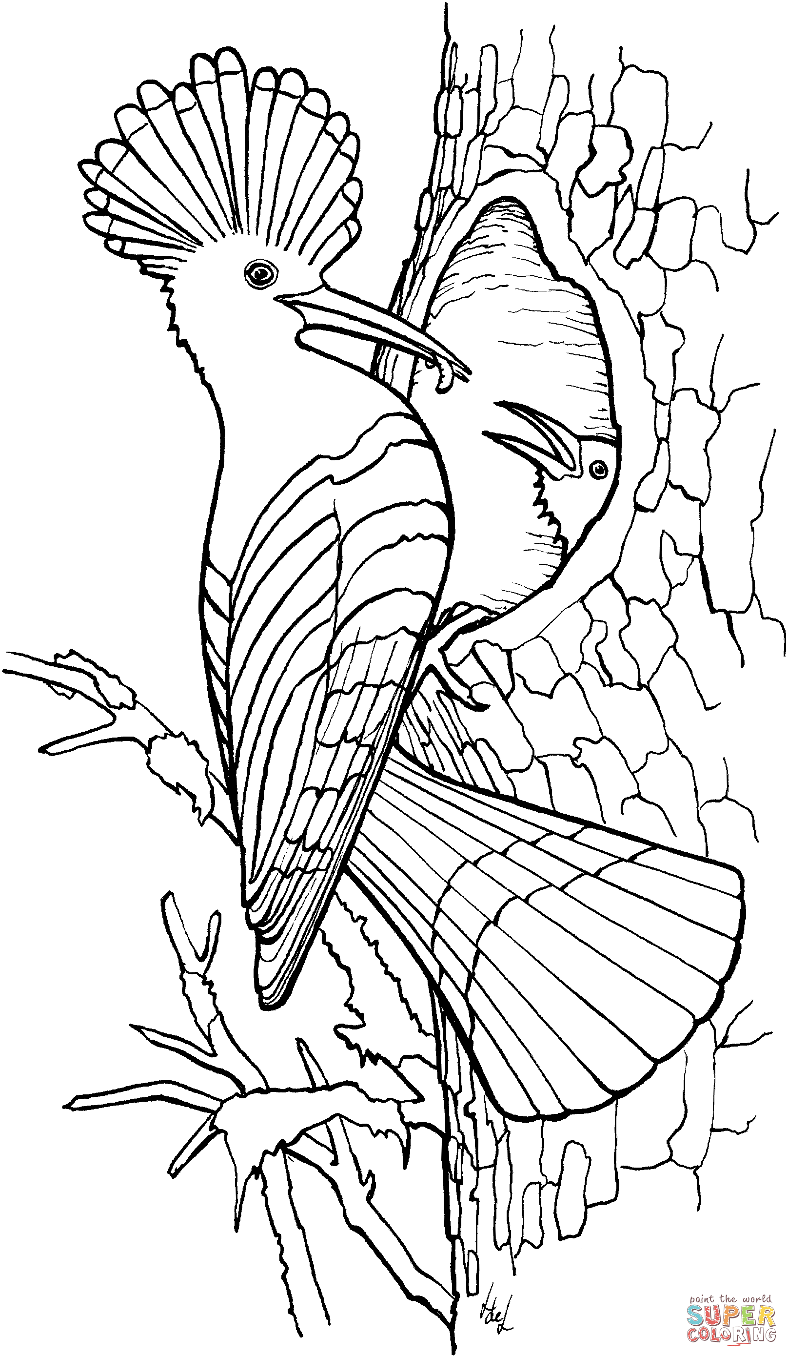 80 Printable Free Downloadable Coloring Pages 42