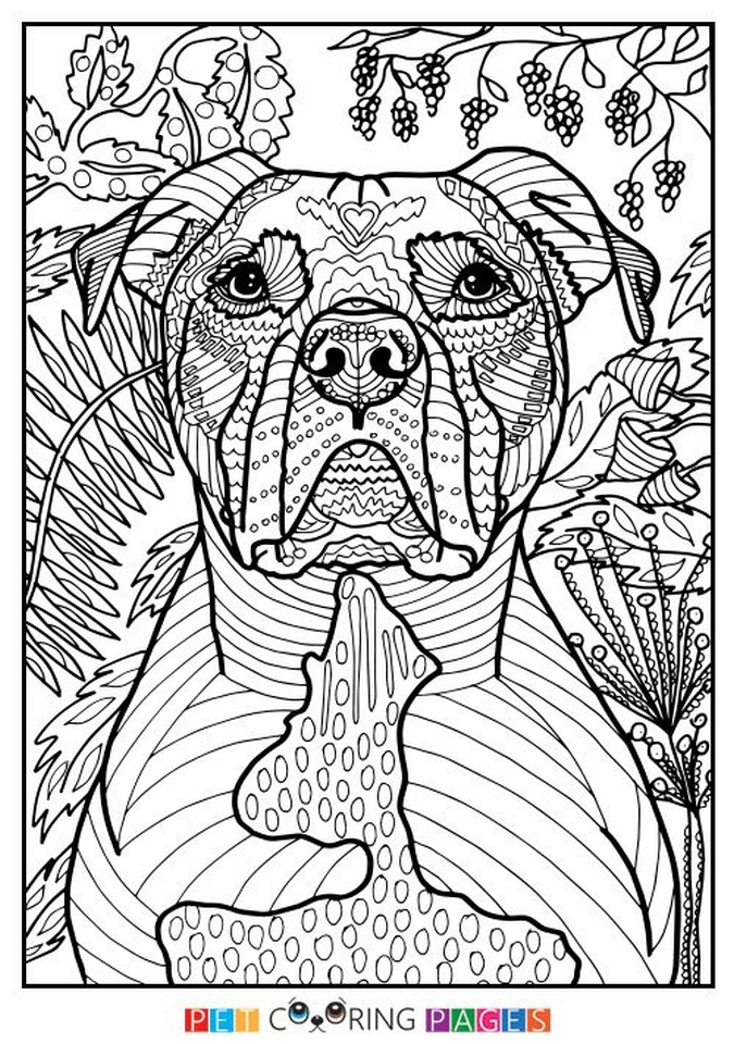 80 Printable Full Page Coloring Pages 43