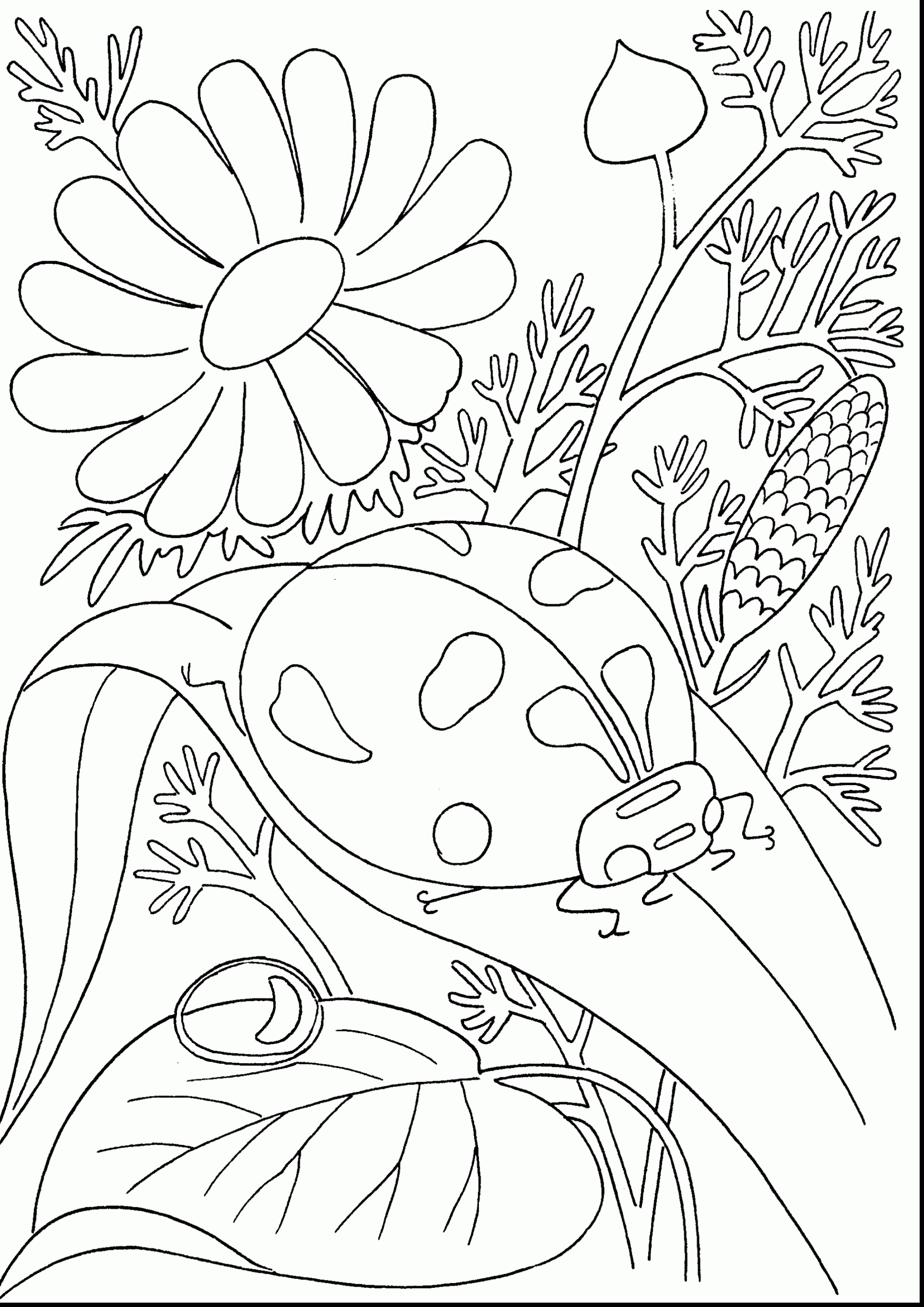 90 Printable Tropical Coloring Pages 76