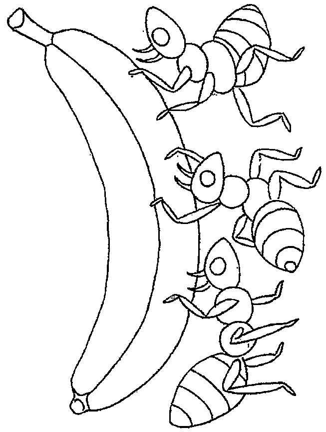 60 Printable Ant Coloring Pages 39