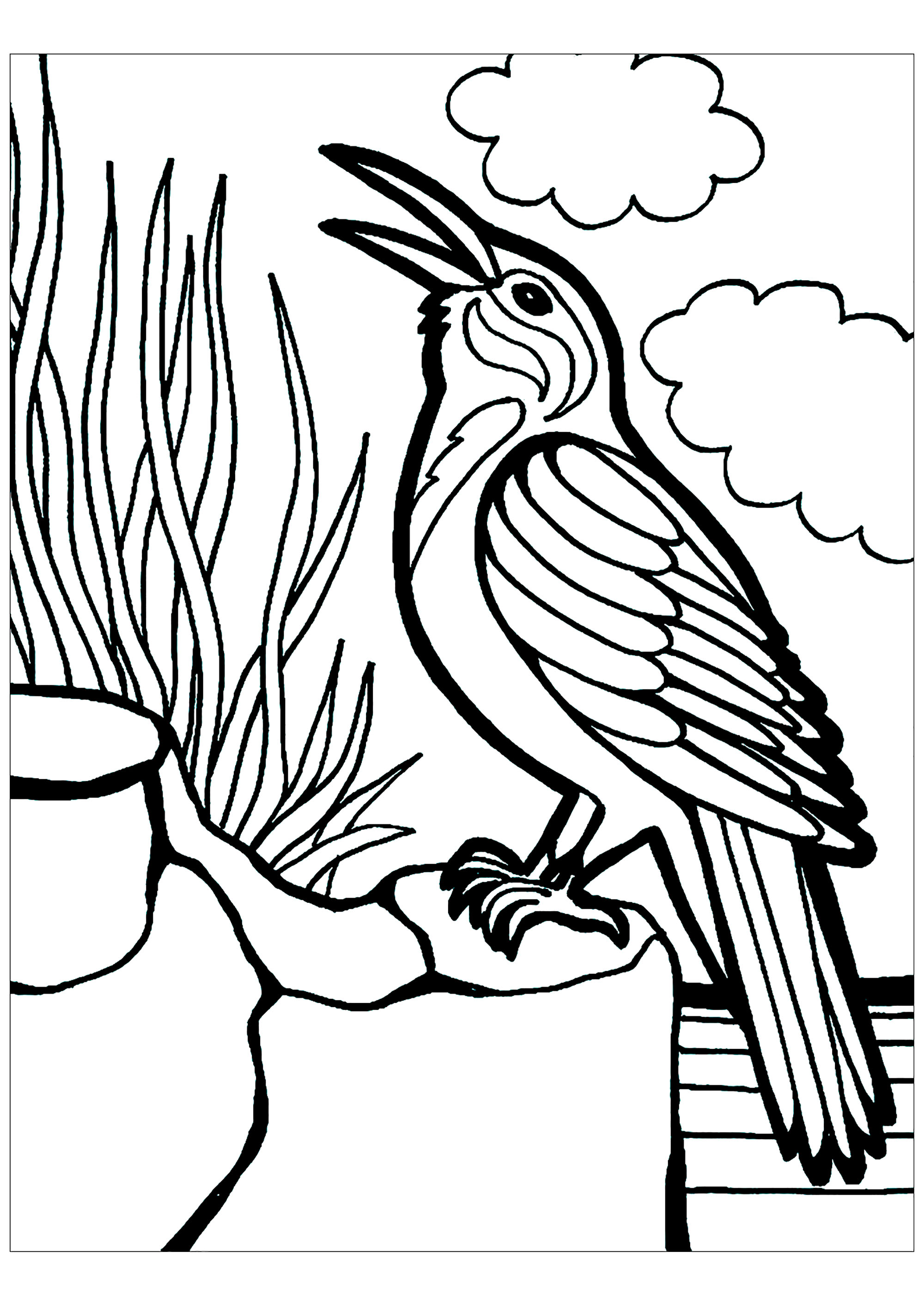 60 Printable Bird Coloring Pictures 32