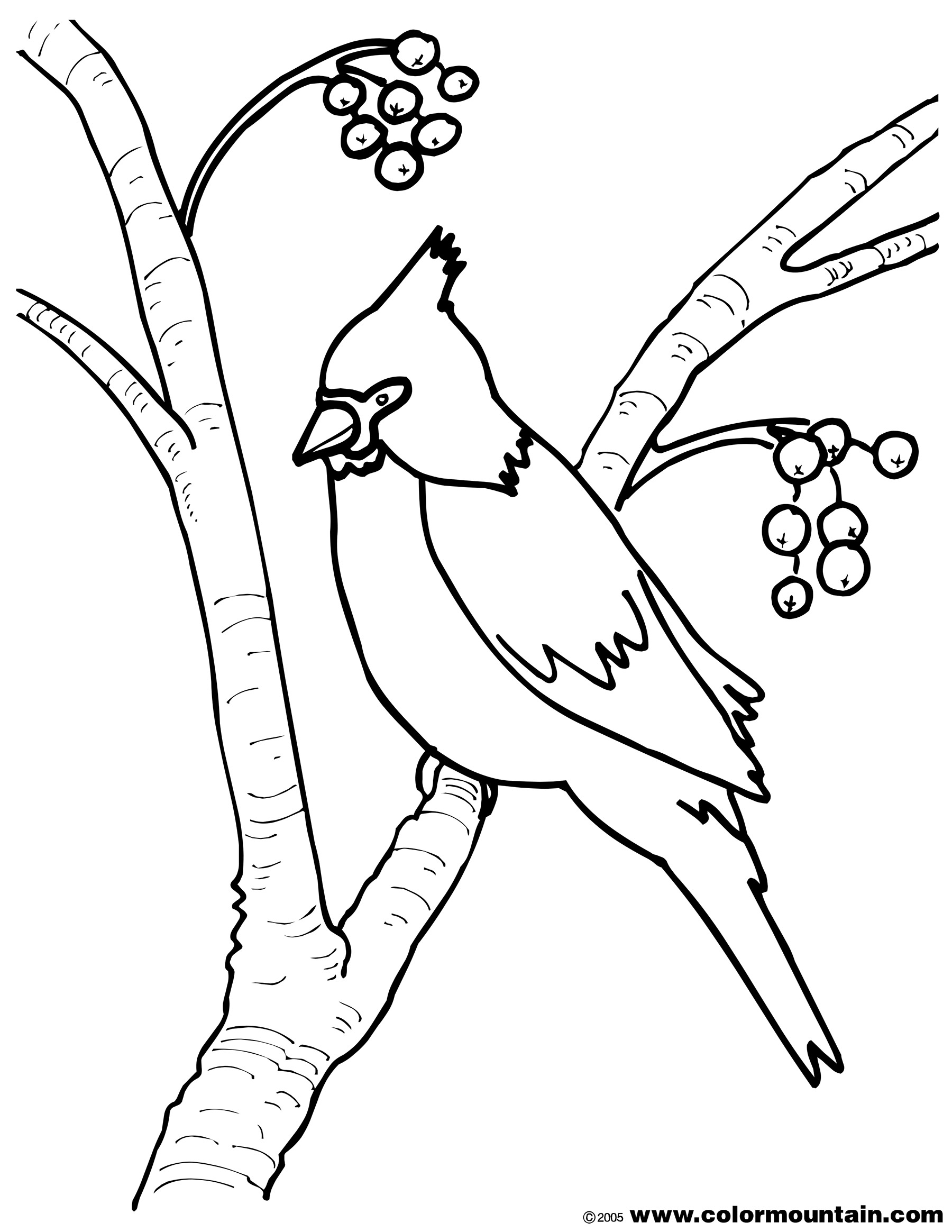 60 Printable Bird Coloring Pictures 4