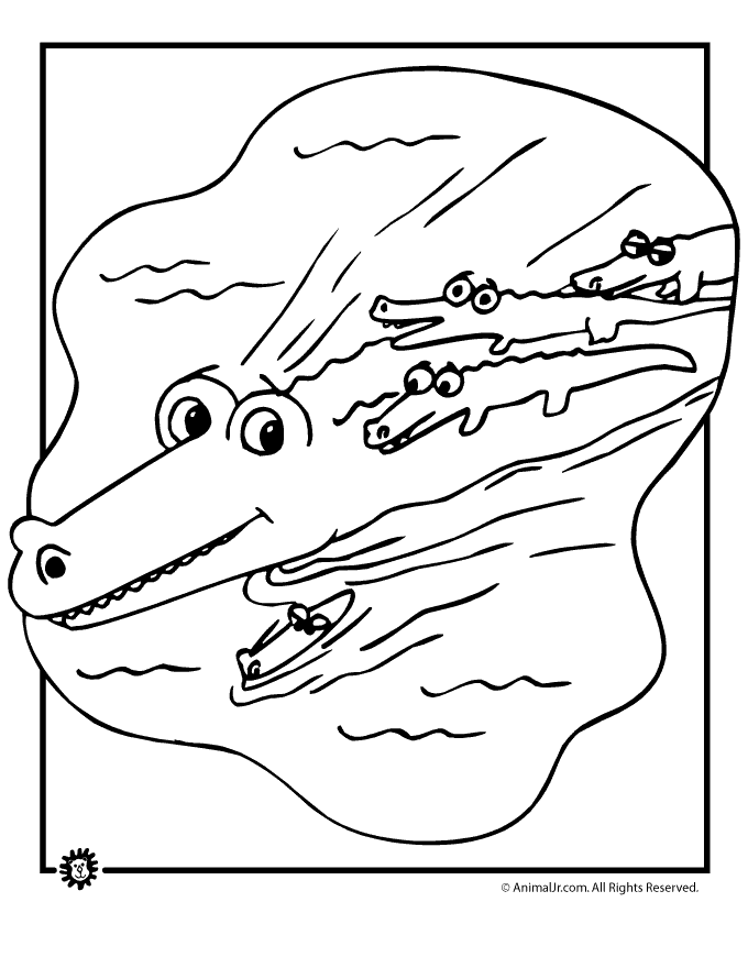 60 Printable Coloring Picture Of Alligator 19