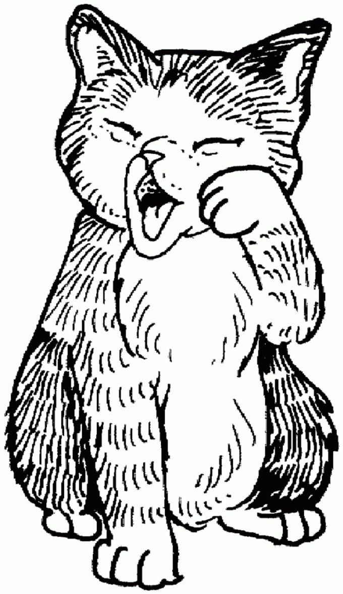 Get 85 Cat Picture For Coloring Ideas 15