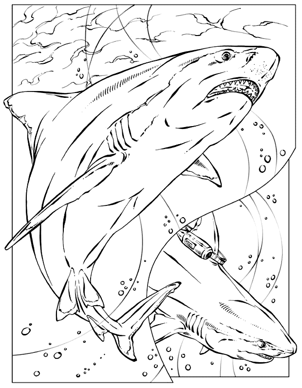 Get 85 Megaladon Coloring Page Ideas 29