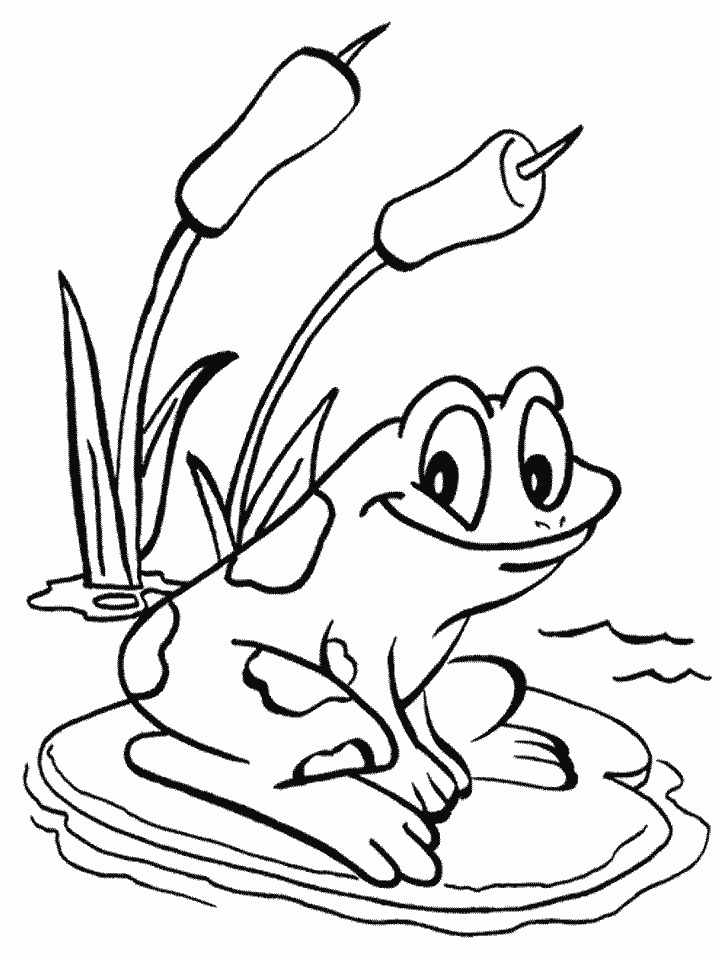 Get 85 Tree Frog Coloring Page Ideas 19