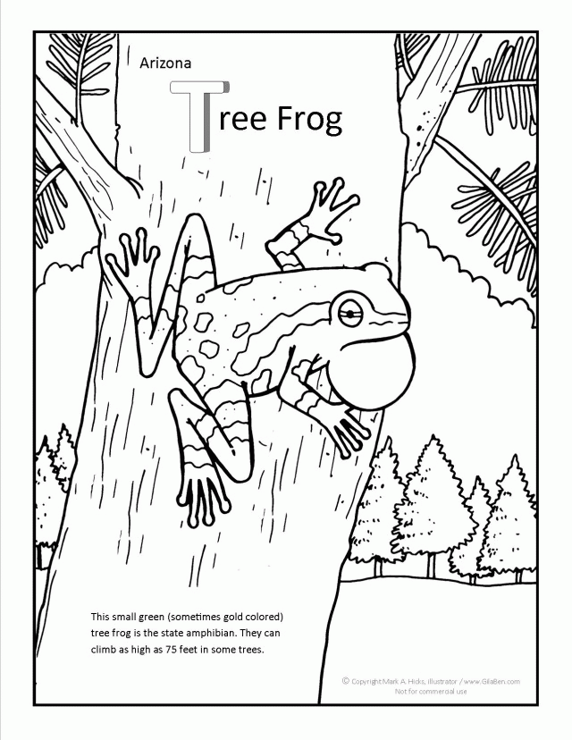 Get 85 Tree Frog Coloring Page Ideas 58